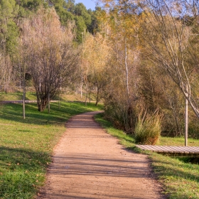 Banyoles Passera Lió