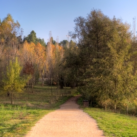 Banyoles Passera Lió