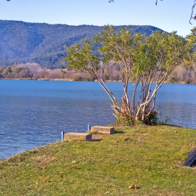 Banyoles Club Natació