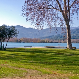 Banyoles Club Natació