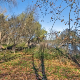 Banyoles paratge dels Desmais