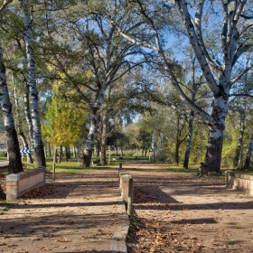 Banyoles paratge dels Desmais