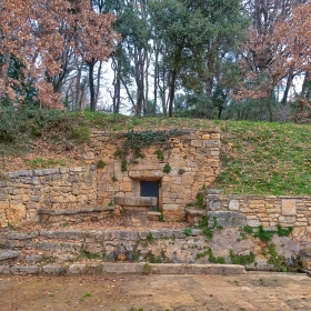 Banyoles bosc de can puig