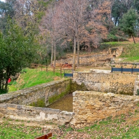 Banyoles bosc de can puig