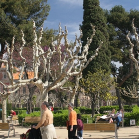 Parc de la Ciutadella 