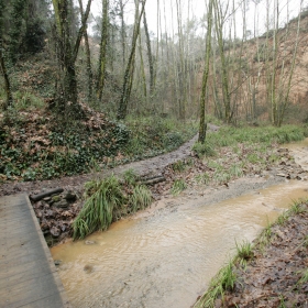 Parc Fluvial del Ripoll