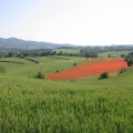 La Vall del Corb, La Conca de Barberà